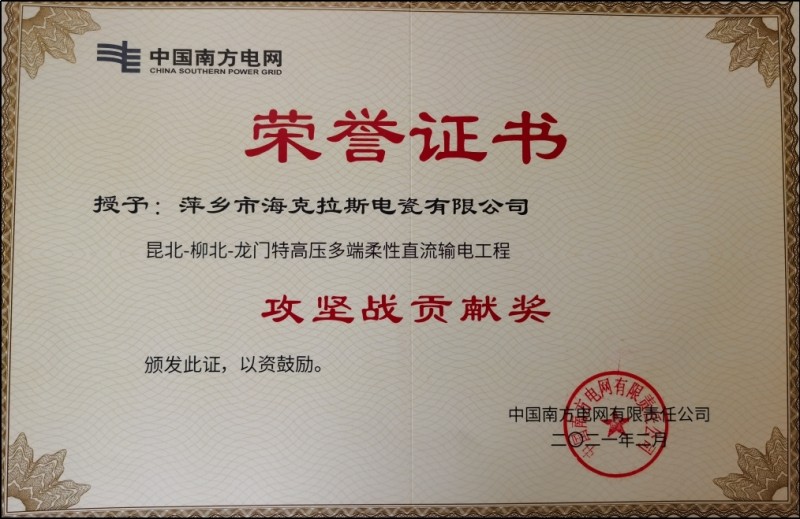 中国南方电网攻坚战贡献奖